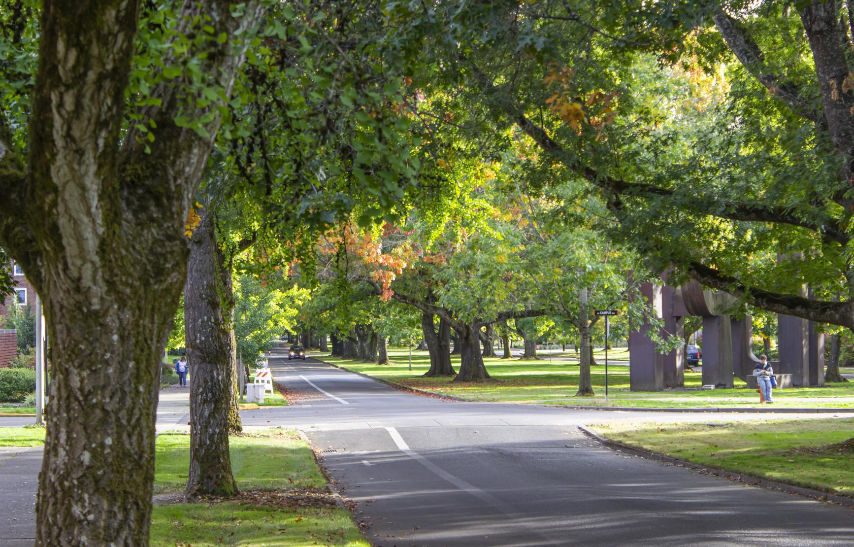 Street on campus during the fall term.